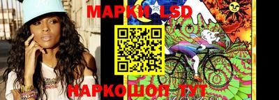 крисы Ставрополь
