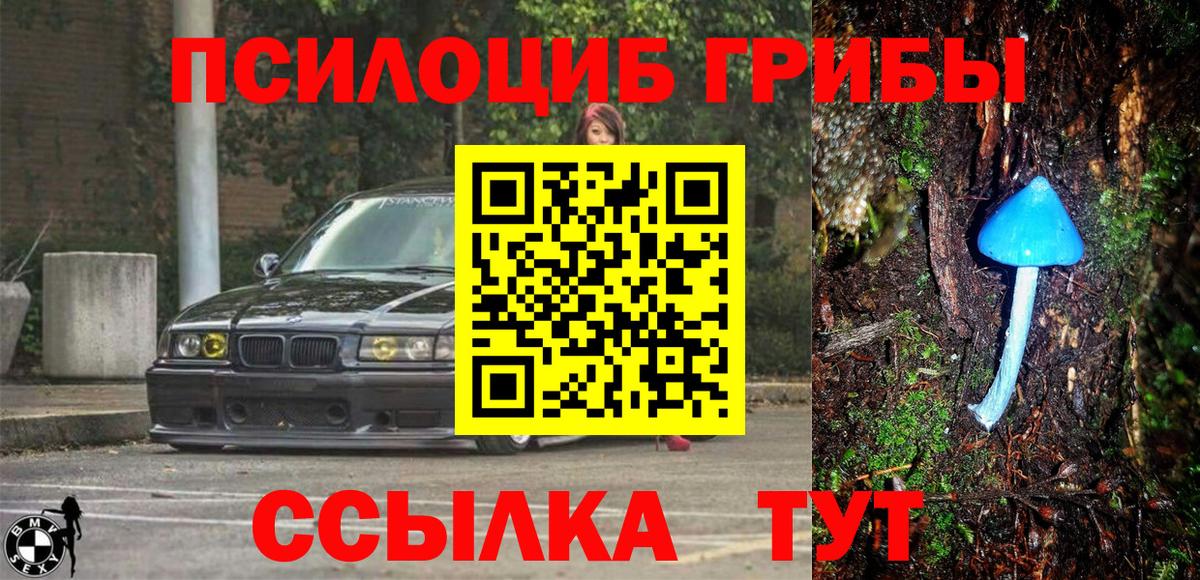 Сухой Лог  Псилоцибиновые грибы ЛСД  Вход с VPN 